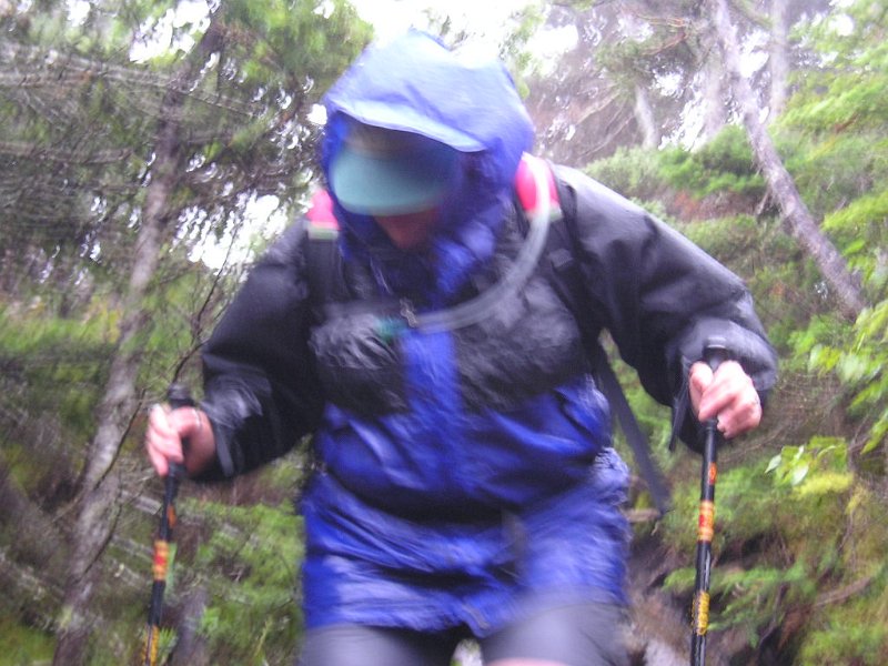MtSuccess 040.JPG - While looking for the herd path to the plane it began to rain. We put on our rain jackets and waited it out for a while behind a boulder. However, the rain only got worse and the wind was whipping. We decided to head back to the safety of the trees and the trail.